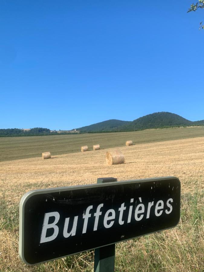 Le Gite De Buffetieres Saint-Romain-de-Popey Eksteriør billede